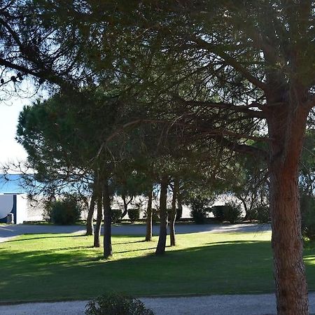 Le Byblos 9 - Vue Mer - Climatisation Plage dʼArgelès Eksteriør billede
