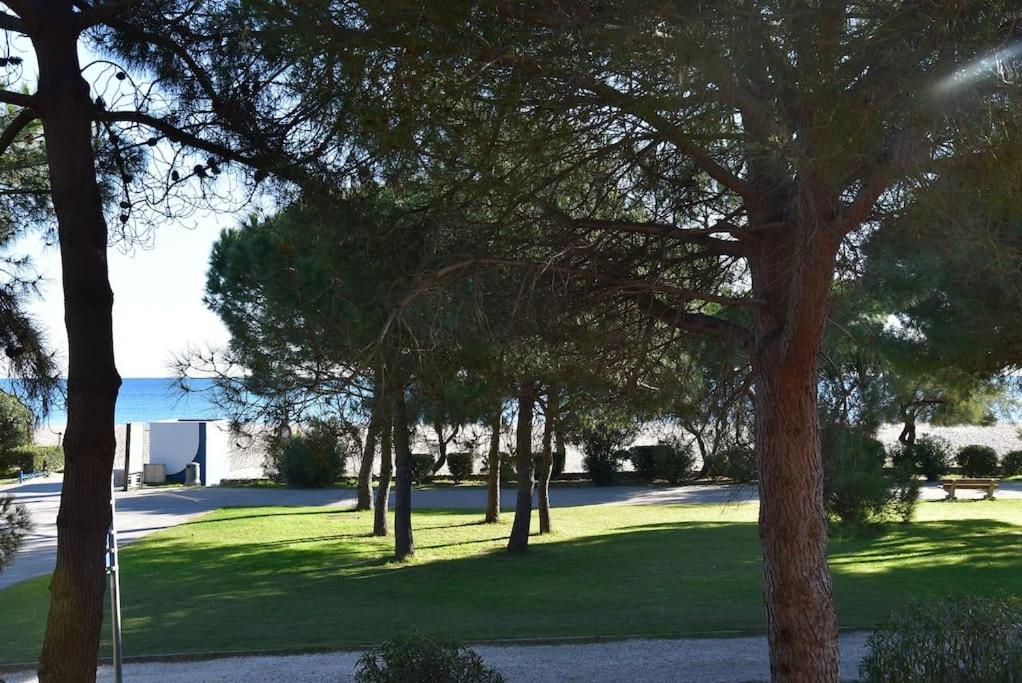 Le Byblos 9 - Vue Mer - Climatisation Plage dʼArgelès Eksteriør billede